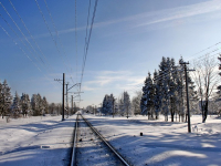 Mindfulness y meditación para la salud mental