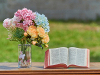 Evaluación Formativa: Mejorando el Proceso de Enseñanza