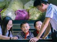 Tutoría Psicológica: Apoyo Emocional