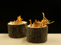 Psicología en medicina: aspectos emocionales del paciente