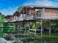 Diseño de Jardines y Espacios Exteriores