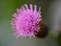 Estética Corporal y Tratamientos