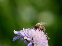 Hábitos saludables para tu bienestar