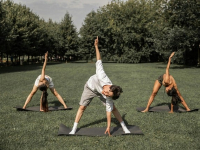 Bienestar emocional en el trabajo