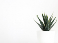 Deco Reciclaje: Decoración Sostenible