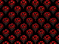 Masterclass de Costura Industrial