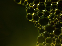 Tejido a crochet paso a paso