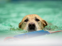 Lesiones Deportivas: Prevención y Tratamiento