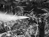 Agricultura De Precisão - Tecnologia Embarcada Em Pulverizadores Autopropelidos