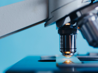 Análise Laboratorial- Microbiologia e Imunologia