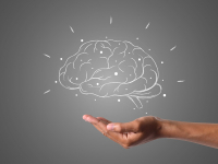 Anatomia e Fisiologia do Sistema Nervoso Central