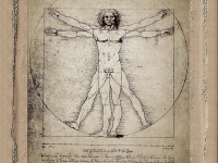 Anatomia humana e sexologia