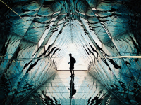 As doenças da Era digital, Aspectos clínicos e práticos com dependentes do uso das tecnologias