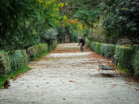 Básico sobre Identificação de Veredas
