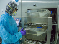 Biossegurança e Bioética em Veterinária