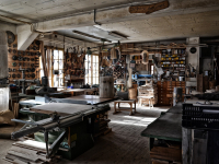 O Profissional Carpinteiro