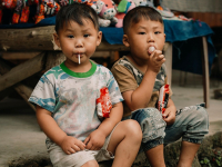 Ciências Educação Infantil