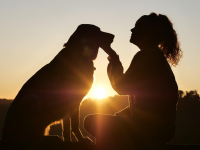 Comportamento-Contenção Física e Manejo de Animais