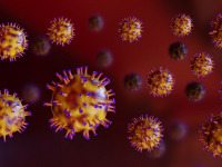 Zoonoses Virais E Príons