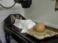 Curso Paralisia Cerebral (PC) e as Habilidades Básicas