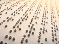 Curso Surdocegueira Metodologias E Estratégias