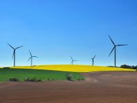 Desenvolvimento Econômico Sustentável Empresarial