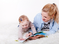 Gatilhos Mentais E Blindagem Emocional