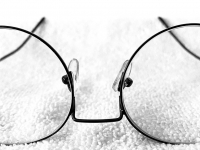 Desordens Seborreicas e da Queratinização e Doenças dos Olhos - Veterinária