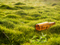 Introdução Gestão Ambiental E Da Qualidade No Agronegócio