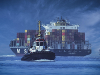 Gestão Da Cadeia De Abastecimento