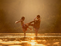 Dimensões Rítmicas e Expressivas do Movimento Humano