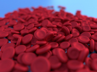 Emostasia, Hematopoiese E Coagulação