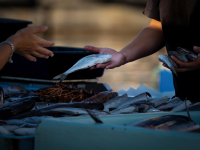 Inteligência De Vendas