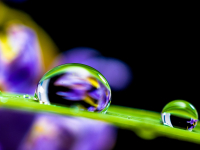 Lei de Acesso à Informação