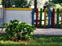 Limpeza De Pátio Escolar