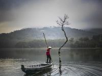 Logoterapia E Educação
