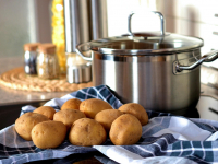 Introdução Macronutrientes