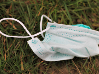 Medicina Respiratória e Torácica, Sistema Digestório, Fígado e Cavidade Abdominal