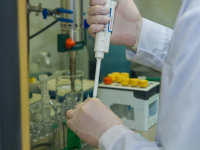 Introdução Metodologia Do Trabalho Científico