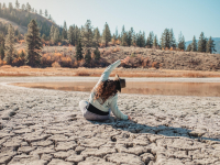 Mindfulness E Contemplação – Comunicação Não Violenta, Escuta Ativa E Empatia