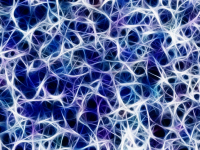 Neuroanatomia E Processos De Aprendizagem