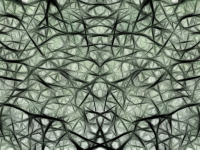 Neurociência No Controle Motor E Patologias Relacionadas