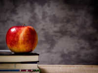 Competências Necessárias ao Exercício Da Profissão Docente