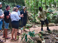 Condutor de Visitantes