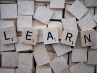 Neuroeducação Na Prática