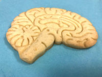 Neuropsicologia-Testes E Escalas