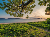 Ensino em ambiente natural