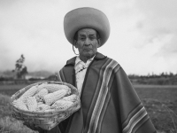 Estatuto do Indígena