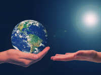 Ética E Legislação Em Optometria