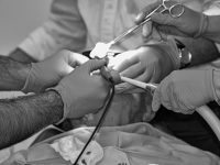 Odontologia Em Saúde Coletiva